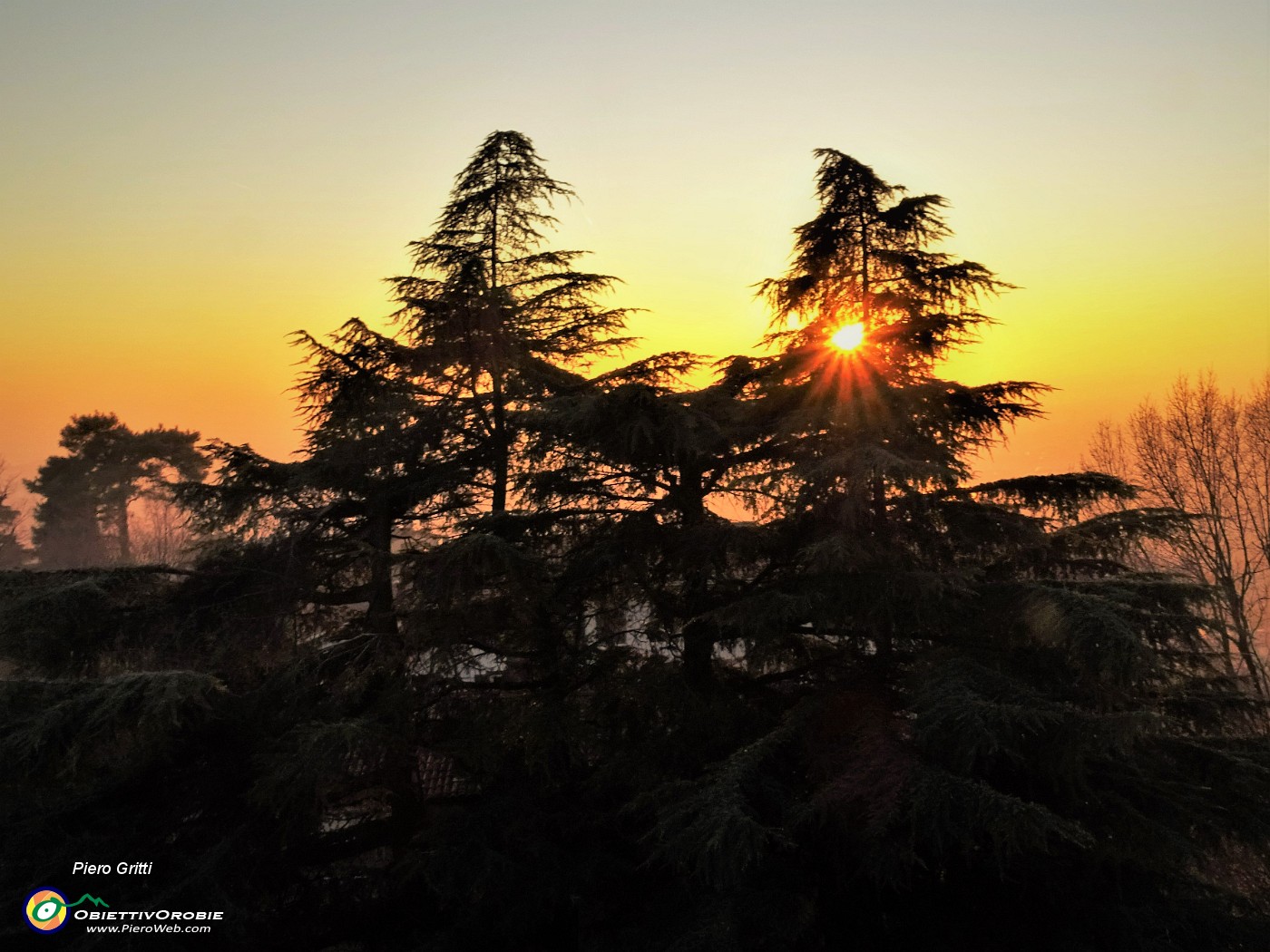 62 Il sole del tramonto filtra dalle piante.JPG